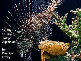 aquarium_poster.jpg