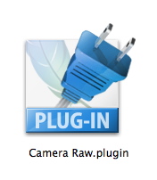 camera_raw_plug.jpg