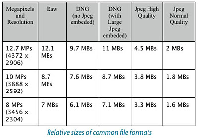 Common File Formats Table
