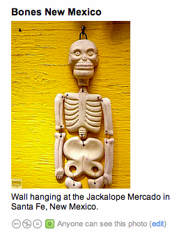 new_mexico_bones.png