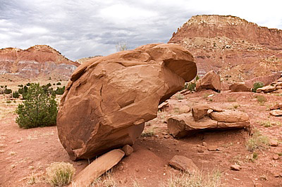 red_rock_new_mexico.jpg