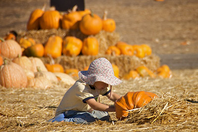 tooley_gs_pumpkin.jpg