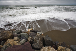 Pacifica, CA