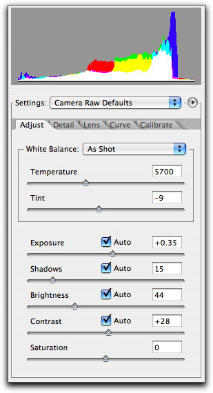 Camera Raw Adjusters