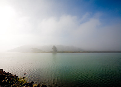 Foggy Landscape