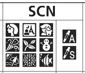 Typical Scene Modes