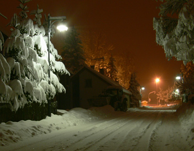 Snow Scene