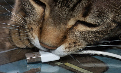 usb_kitty.jpg