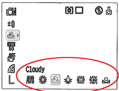 White Balance Menu