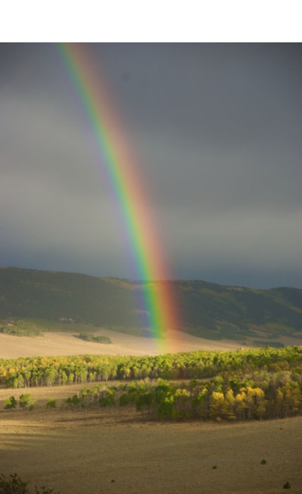 South Park Rainbow - Grab Shot 186