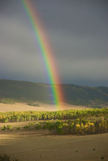 South Park Rainbow - Grab Shot 186