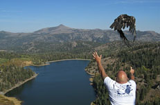 Eagle Release