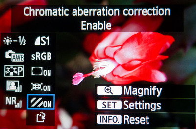 Canon 60D Raw Processing Menu