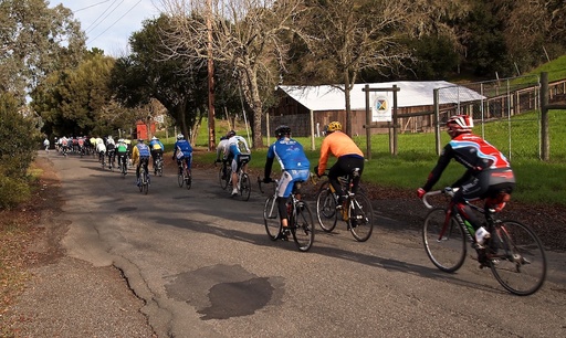 Bike Riders