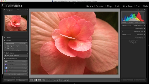 lightroom4_mbp_retina.jpg