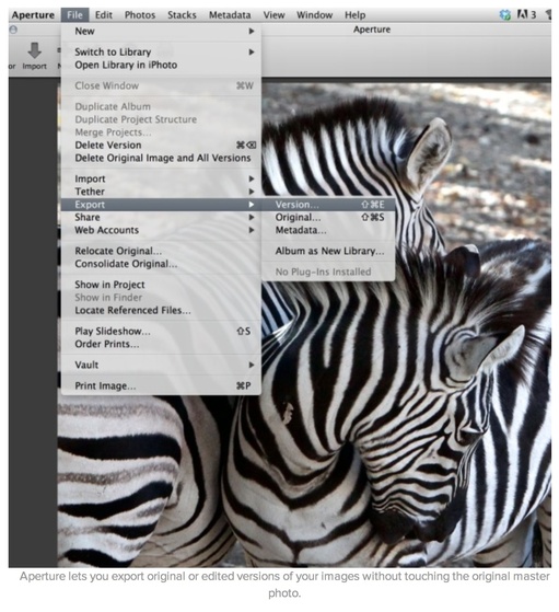 aperture_export_zebras.jpg