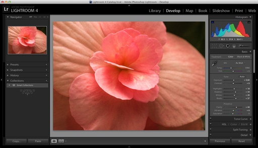 Lightroom 4.2 Develop Module