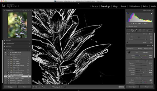 Lightroom 5 Visualize Spots