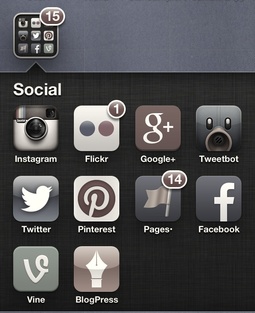 Social Networks on an iPhone