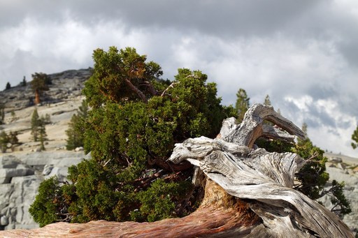 wood-rock-sky.jpg