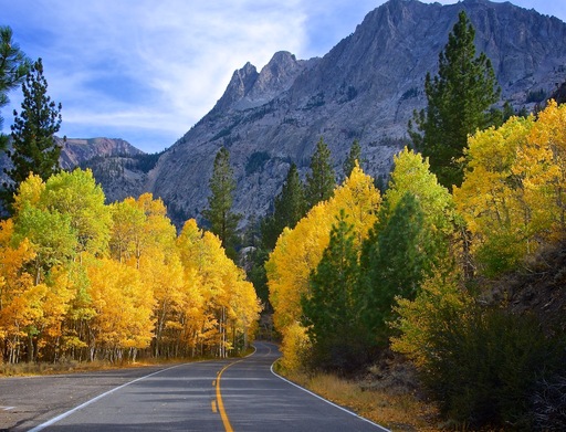 June Lake Loop