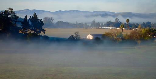 crane-creek-fog.jpg