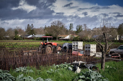 IMGP0141-kp-sunday-walk-farm.jpg